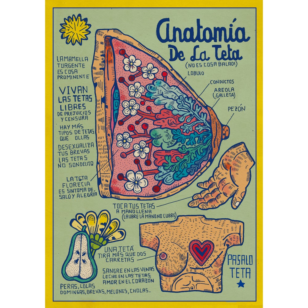 Anatomía de la Teta – Tenbei Concept